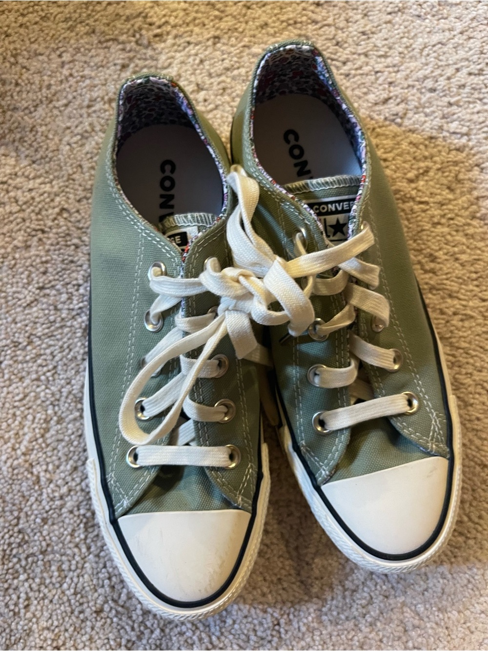 Converse Low Top Canvas Sneakers in Olive Green